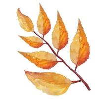 foglie di albero secco autunnale morto, acquerello di illustrazione botanica vettore