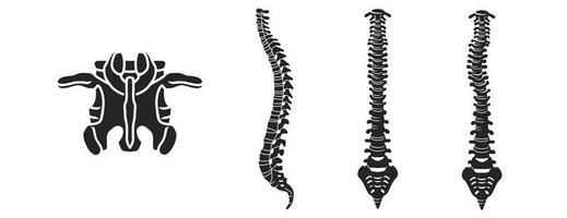 set di icone della colonna vertebrale, stile semplice vettore