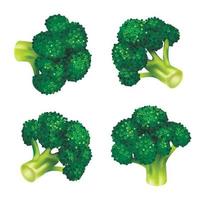 set di icone di broccoli verdi, stile isometrico vettore