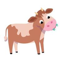 il vitello divertente mastica l'erba. animali su sfondo bianco. immagine isolata. illustrazione a colori vettoriale in stile cartone animato. immagine per il design
