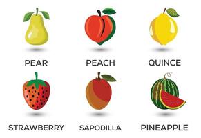 insieme di frutti. diversi frutti colorati. cibo fresco, concetto di alimentazione sana. illustrazione vettoriale