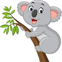 simpatico cartone animato koala su un albero vettore