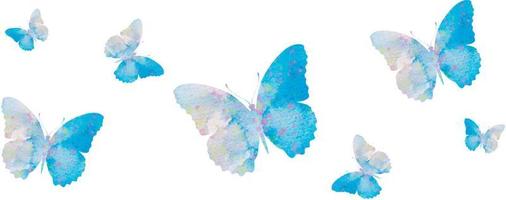 farfalla dell'acquerello, sfondo trasparente. vettore