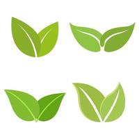 illustrazione set di foglie verdi varie vettore