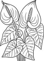 Pagina da colorare di fiori di anthurium per adulti vettore