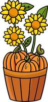 clipart del fumetto del girasole della zucca del ringraziamento vettore