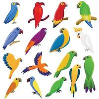 set di icone di pappagallo, stile cartone animato vettore
