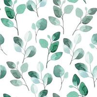 modello senza cuciture dell'acquerello con foglie di eucalipto. foglie di eucalipto tropicale verde su sfondo bianco vettore