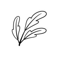 ramo di pianta. foglie in stile linea. illustrazione naturale in bianco e nero. minimalismo e flora semplice. vettore
