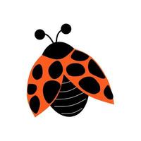 coccinella insetto simpatico cartone animato isolato su sfondo bianco vettore