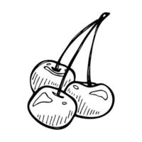 clipart di ciliegia vettoriale. icona di bacca disegnata a mano. illustrazione di frutta vettore