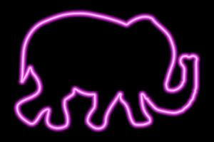 forza al neon rosa dell'elefante ambulante su sfondo nero vettore