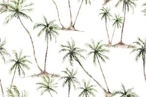 albero di cocco senza cuciture disegno acquerello. palme d'epoca tropicali e mare per modelli di tessuto di design e sfondi. modelli botanici per l'estate. vettore