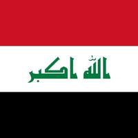 bandiera irachena, colori ufficiali. illustrazione vettoriale. vettore