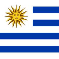 bandiera dell'uruguay, colori ufficiali. illustrazione vettoriale. vettore
