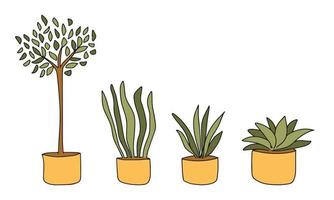 set di piante domestiche isolate in vaso per arredare il tuo soggiorno o ufficio. fascio di piante in vaso, piante da appartamento. raccolta vettoriale