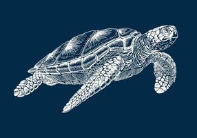 tartaruga di mare. illustrazione disegnata a mano convertita in vettore. vettore con animali sott'acqua.