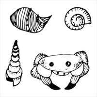 set vettoriale di scarabocchi di granchio e conchiglia. disegnato a mano su sfondo bianco. per gli amanti del mare e del tempo libero, per striscioni, carta da parati, packaging decorativo, design dei tessuti.