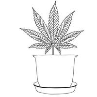 foglia di marijuana o contorno di cannabis in vaso. congedo di cannabis di design disegnato a mano. illustrazione di incisione vettoriale nero vintage per etichetta, poster, web. isolato su sfondo bianco