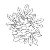 doodle fiore con foglie da colorare pagina illustrazione del vettore in bianco e nero