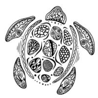 zentangle tartaruga cartone animato stilizzato. schizzo disegnato a mano per pagina da colorare antistress per adulti, t-shirt, logo o tatuaggio con doodle, zentangle. vettore