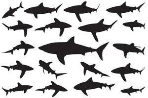 sagoma di squalo, set di squali. raccolta di sagome di pesci marini predatori che nuotano vettore