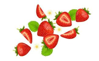 frutti di fragola fresca che volano e foglie con fragole di pezzi elemento nel mezzo su sfondo bianco. illustrazione vettoriale 3d realistica.