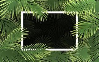 sfondo tropicale luminoso con foglia di palma vettore