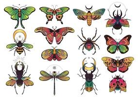 collezione di insetti colorati fantasia per il design. grafica vettoriale