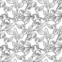 modello vettoriale con mirtilli. bacche di mirtillo con ramoscelli di foglie in uno stile disegnato a mano. uno schizzo con una linea nera, una raccolta di frutti di bosco su sfondo bianco. illustrazione botanica
