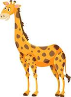 simpatico cartone animato giraffa su sfondo bianco vettore