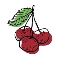 clipart di ciliegia vettoriale. icona di bacca disegnata a mano. illustrazione di frutta vettore