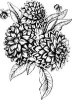 schizzo di inchiostro illustrazione botanica disegnata a mano di fiori di dalia. un mazzo di fiori. Isolato su uno sfondo bianco. stampa per invito a nozze. illustrazione vettoriale