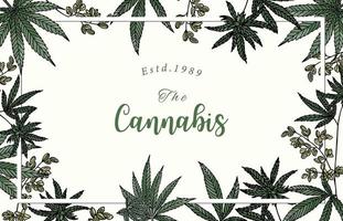 raccolta di sfondo di cannabis con illustrazione vettoriale green.editable per sito Web, invito, cartolina e adesivo