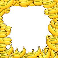 cornice di frutta. modello, banane. illustrazione vettoriale. vettore