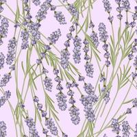 vettore modello senza cuciture lavanda francese in sfondo rosa pastello