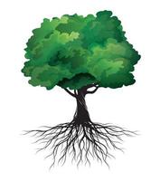albero primaverile verde con radici. illustrazione vettoriale. vettore