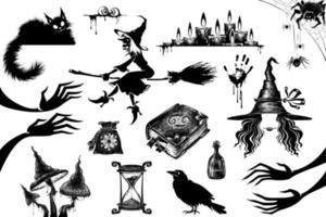 halloween detail.witchcraft elementi magici mistici. vettore