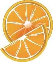 fette di frutta arancione vettore
