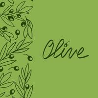 modello di banner di olivo. sfondo in stile doodle disegnato a mano. scritte in oliva disegnate a mano. design per olio d'oliva, packaging per olive, cosmetici naturali, prodotti per la salute vettore