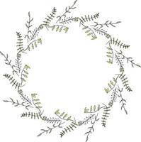 cornice rotonda realizzata con elementi a base di erbe. corona romantica su sfondo bianco vettore