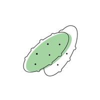 vettore una linea di cartone animato vegetale. doodle icona di cetriolo minimo