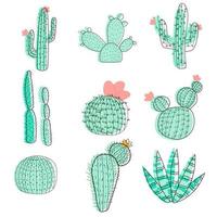 set di illustrazioni vettoriali con cactus piatto colori luminosi. illustrazione piatta e ripetizione del contorno