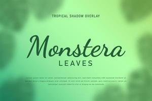 set di foglie tropicali ombra sovrapposizione sfondo illustrazione vettoriale
