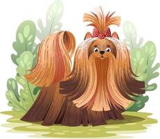 cane cartone animato yorkshire terrier. illustrazione vettoriale. vettore