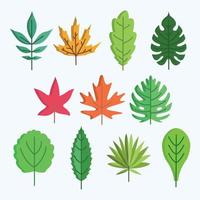 foglie set illustrazione vettore