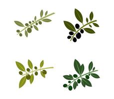 set di icone di olive