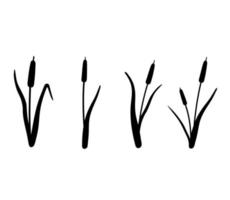 set silhouette di canna. illustrazione vettoriale isolato su sfondo bianco. piante sulla palude e sul fiume.