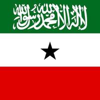 bandiera del somaliland, colori ufficiali. illustrazione vettoriale. vettore