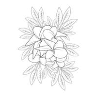 Plumeria fiore doodle pagina da colorare contorno illustrazione vettoriale di isolato su sfondo bianco